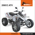 250cc ATV Straße Legal Quad-Bike EWG (Racing)